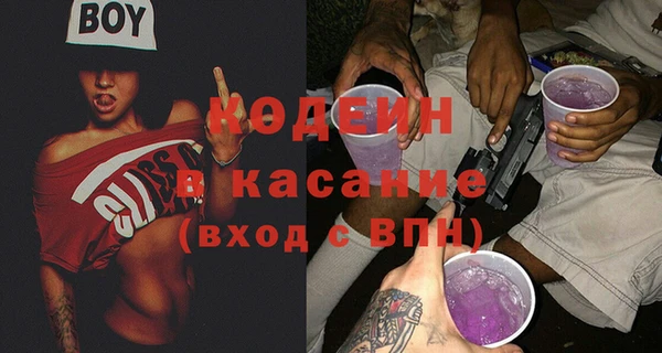 индика Вязьма
