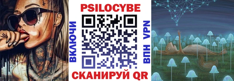 Галлюциногенные грибы Psilocybe  mega ТОР  Чусовой 